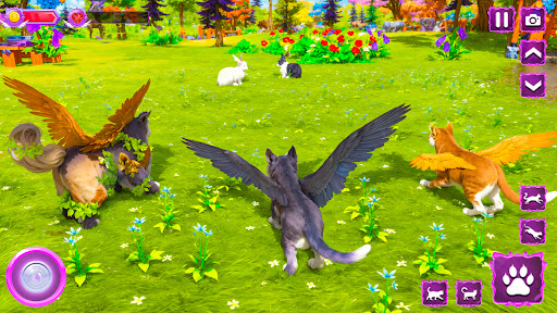 Ұшатын жабайы мысықтарға күтім жасау симуляторы 3D