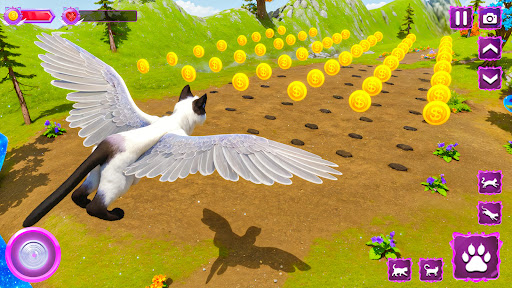 Ұшатын жабайы мысықтарға күтім жасау симуляторы 3D